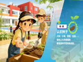 苏教版小学科学三年级下册 05种子发芽了 课件