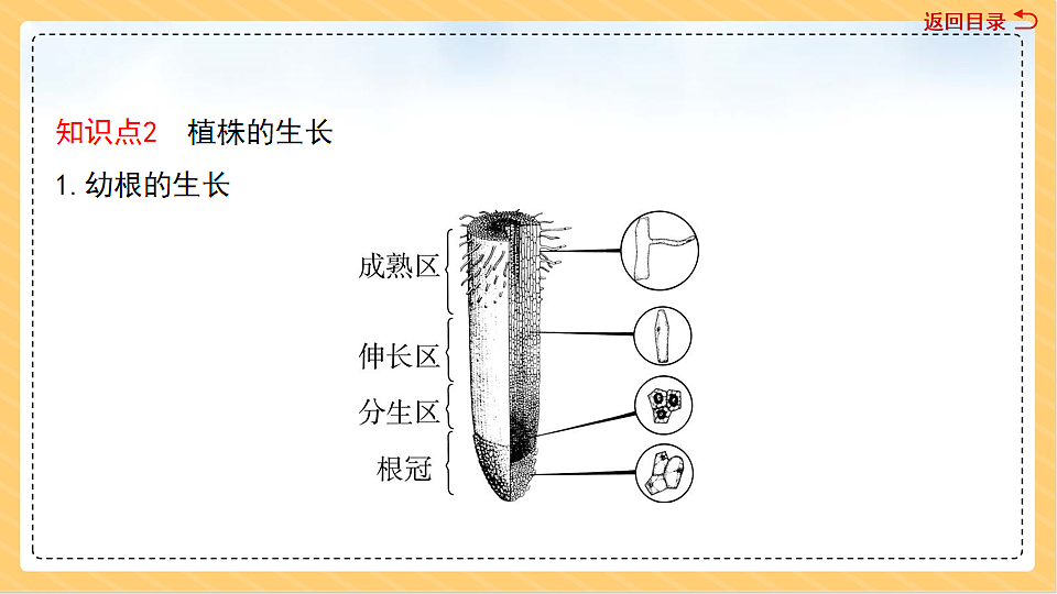 18011553第7页