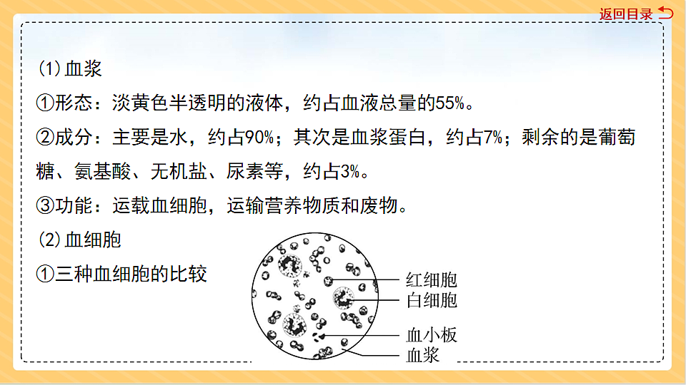 18011561第4页
