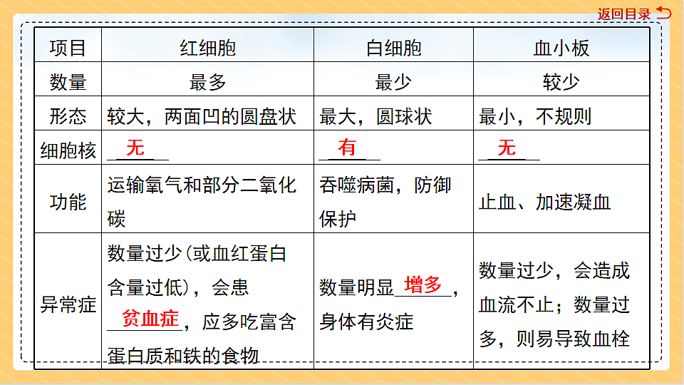 18011561第5页
