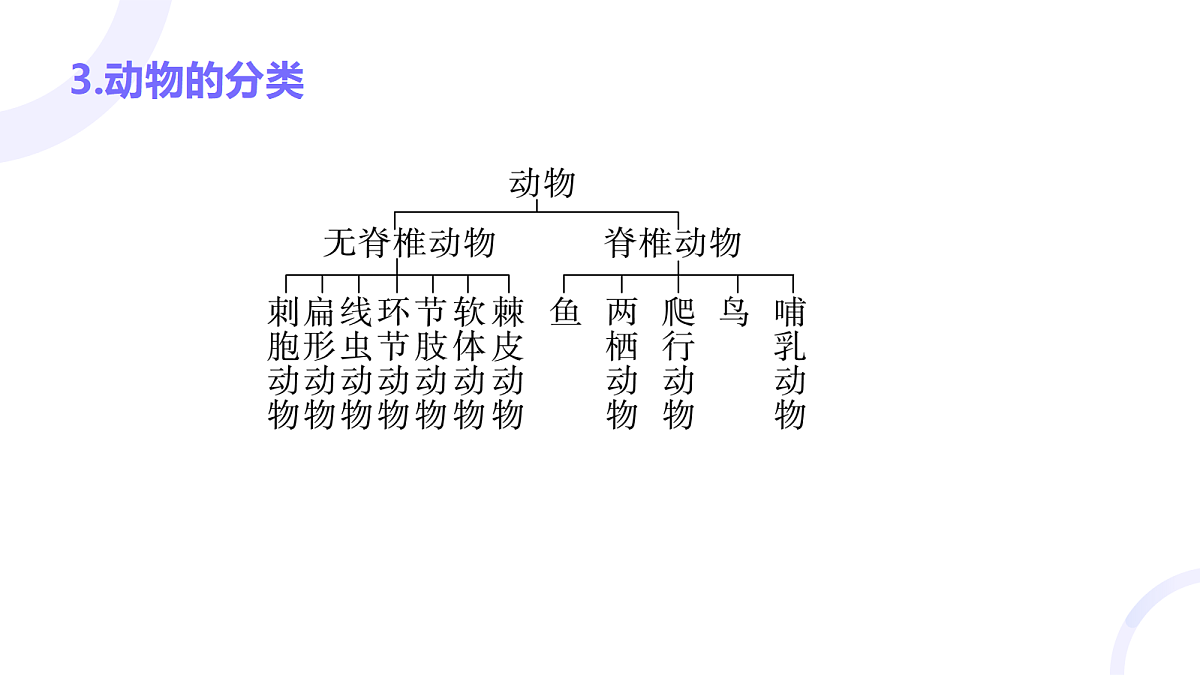 18012031第5页