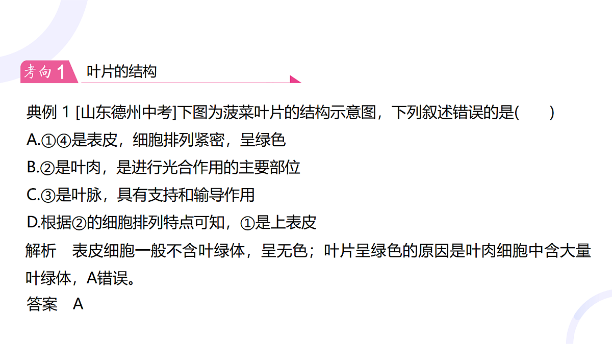18012033第8页