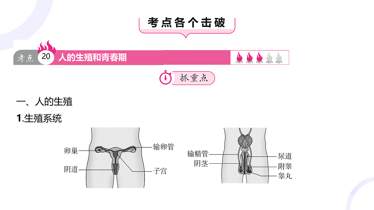 18012034第3页