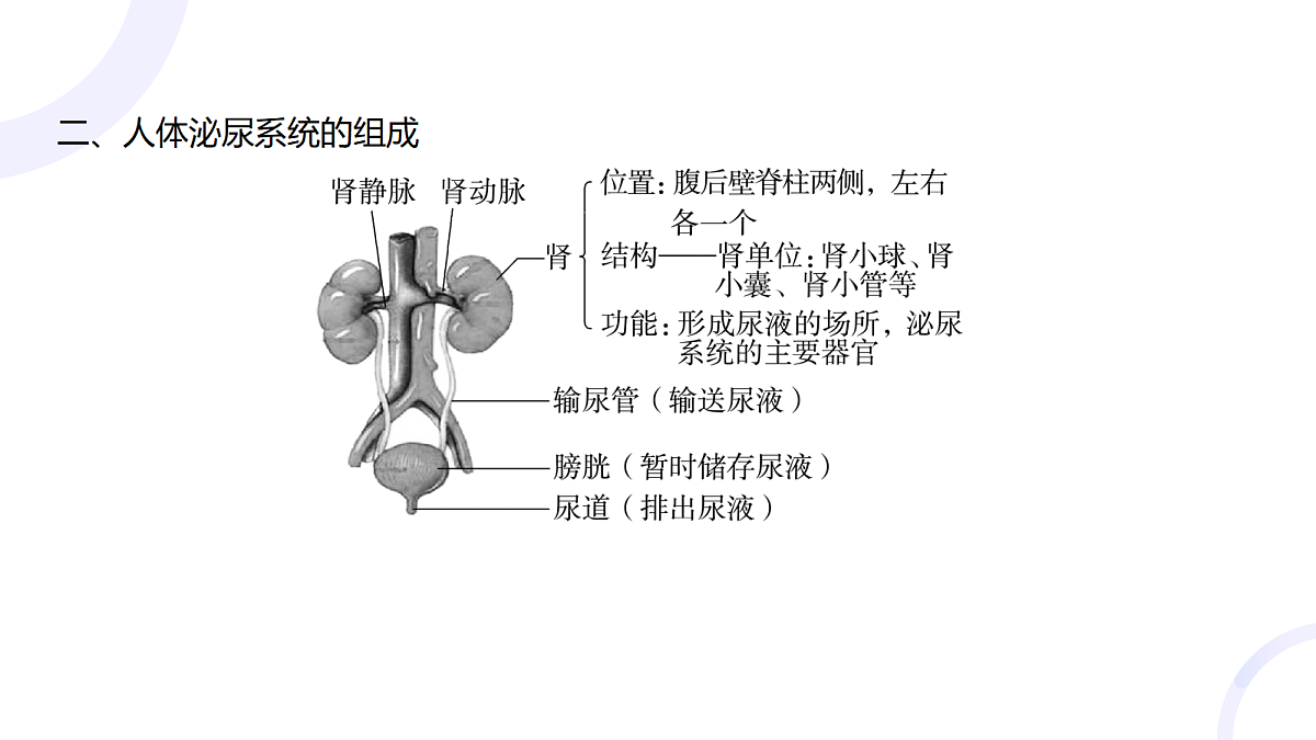 18012038第4页