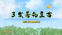 科学3  发蔫的豆苗教学课件ppt