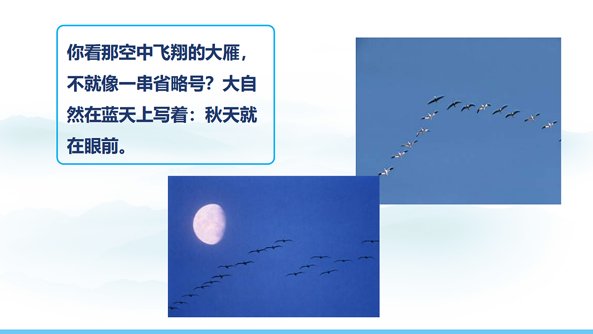 18012960第6页
