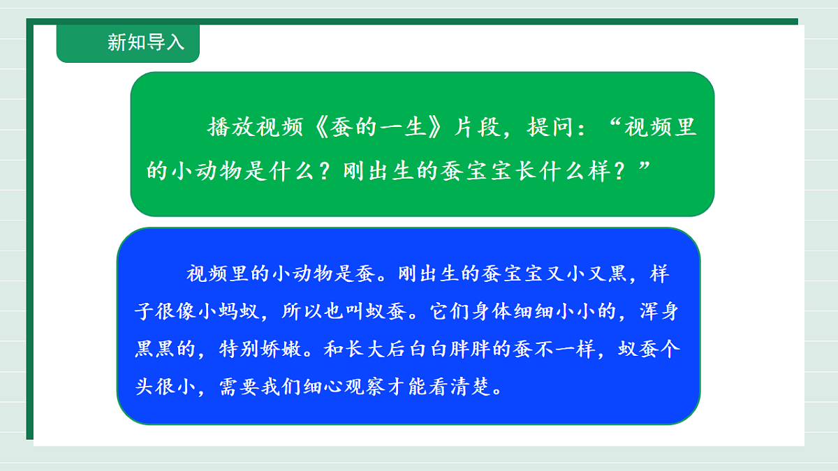 2.4《幼蚕在生长》教学课件第4页