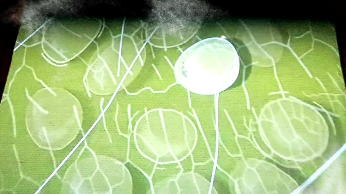 2.4《幼蚕在生长》教学课件第5页