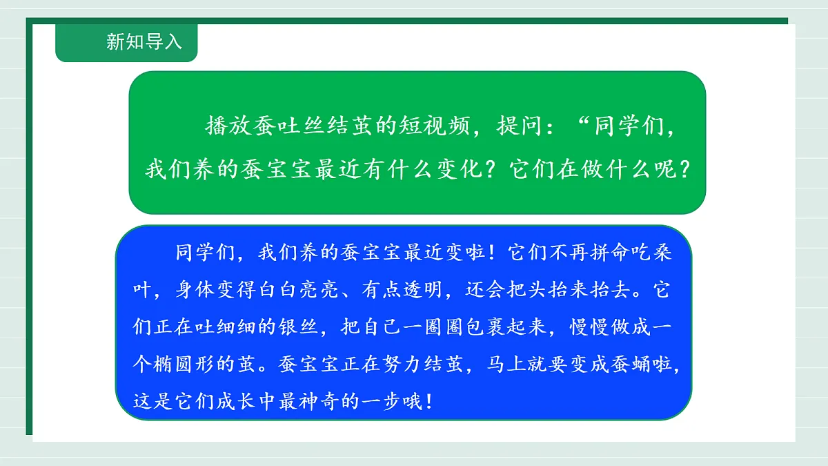 2.5《蚕变新模样》教学课件第4页