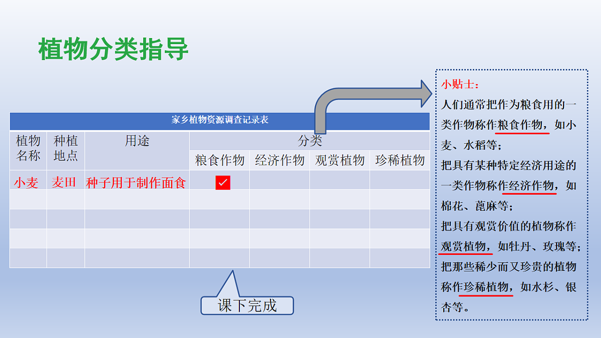 18013737第6页