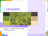 第三单元第二课《色彩的交响》教学课件-2025-2026学年湘美版（2024）初中美术七年级下册