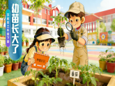 苏教版小学科学三年级下册06幼苗长大了课件