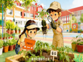 苏教版小学科学三年级下册06幼苗长大了课件