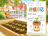 苏教版小学科学三年级下册06幼苗长大了课件