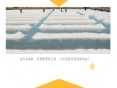 2、把盐析出来 小学科学人教鄂教版（新教材）三年级下册课件