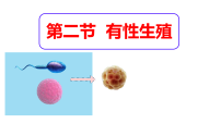 初中生物人教版（2024）八年级下册（2024）第二节 有性生殖教课内容课件ppt