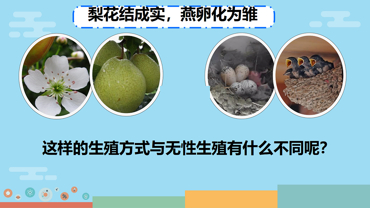 18017011第2页