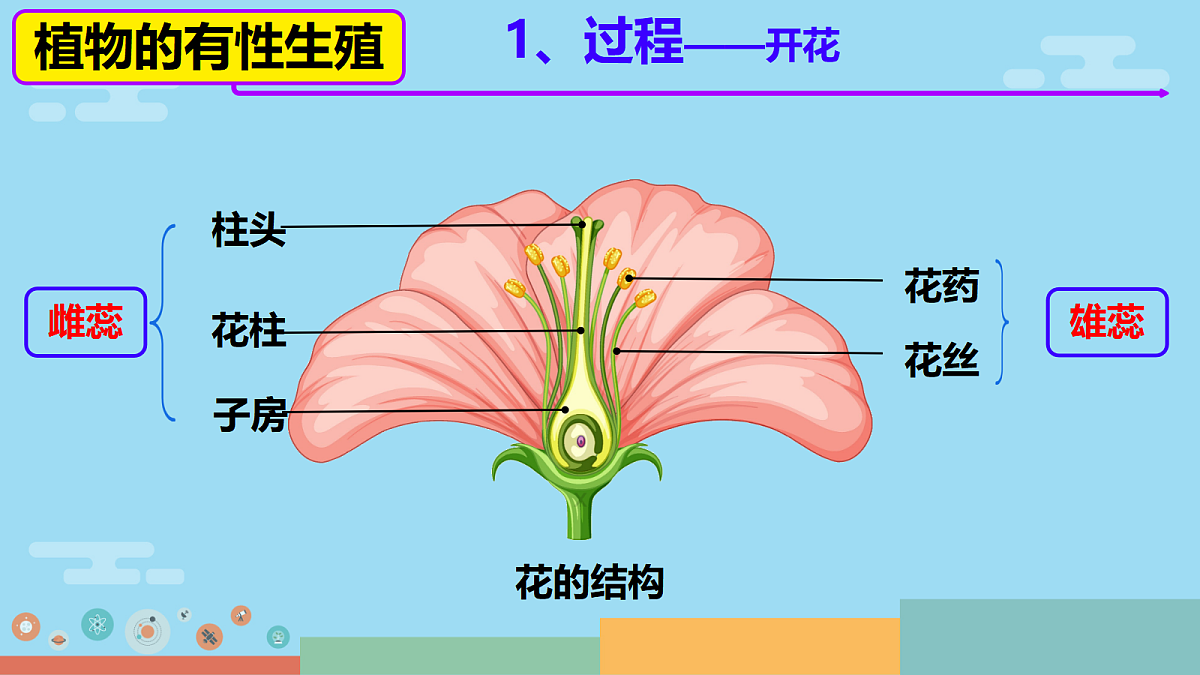 18017011第4页