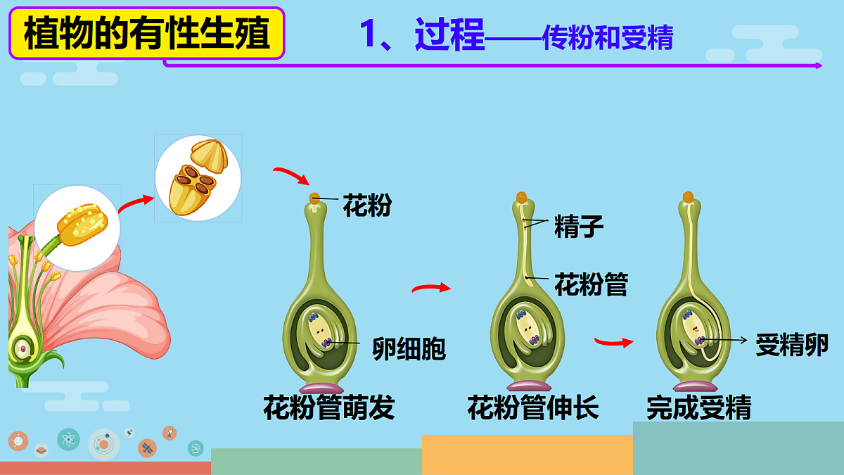 18017011第5页