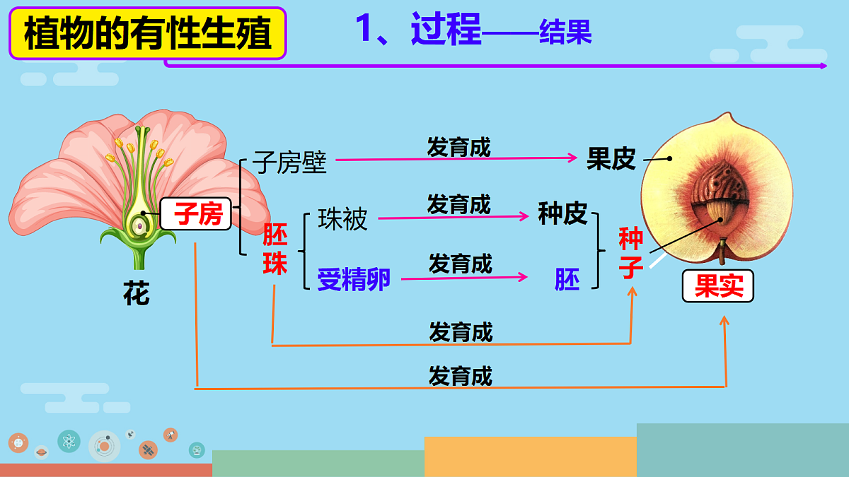 18017011第6页