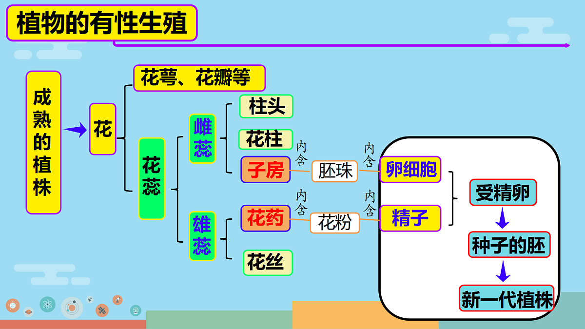 18017011第8页