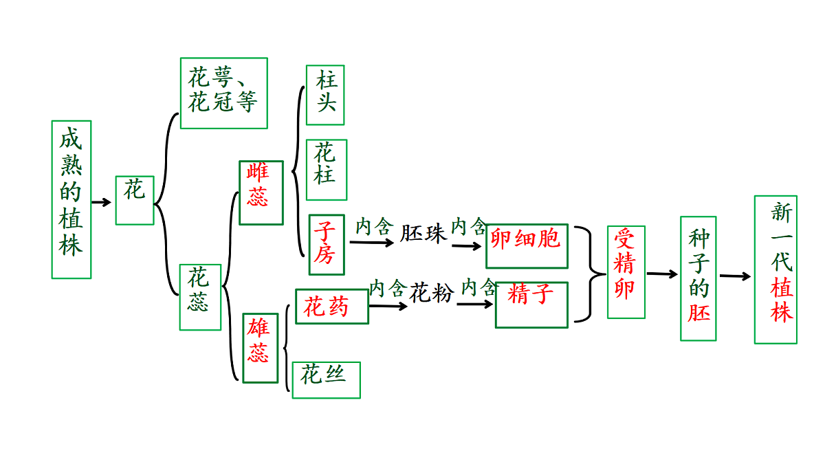 18017012第4页