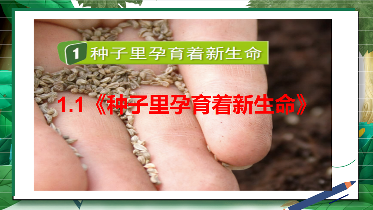 1.1《种子里孕育着新生命》教学课件第2页
