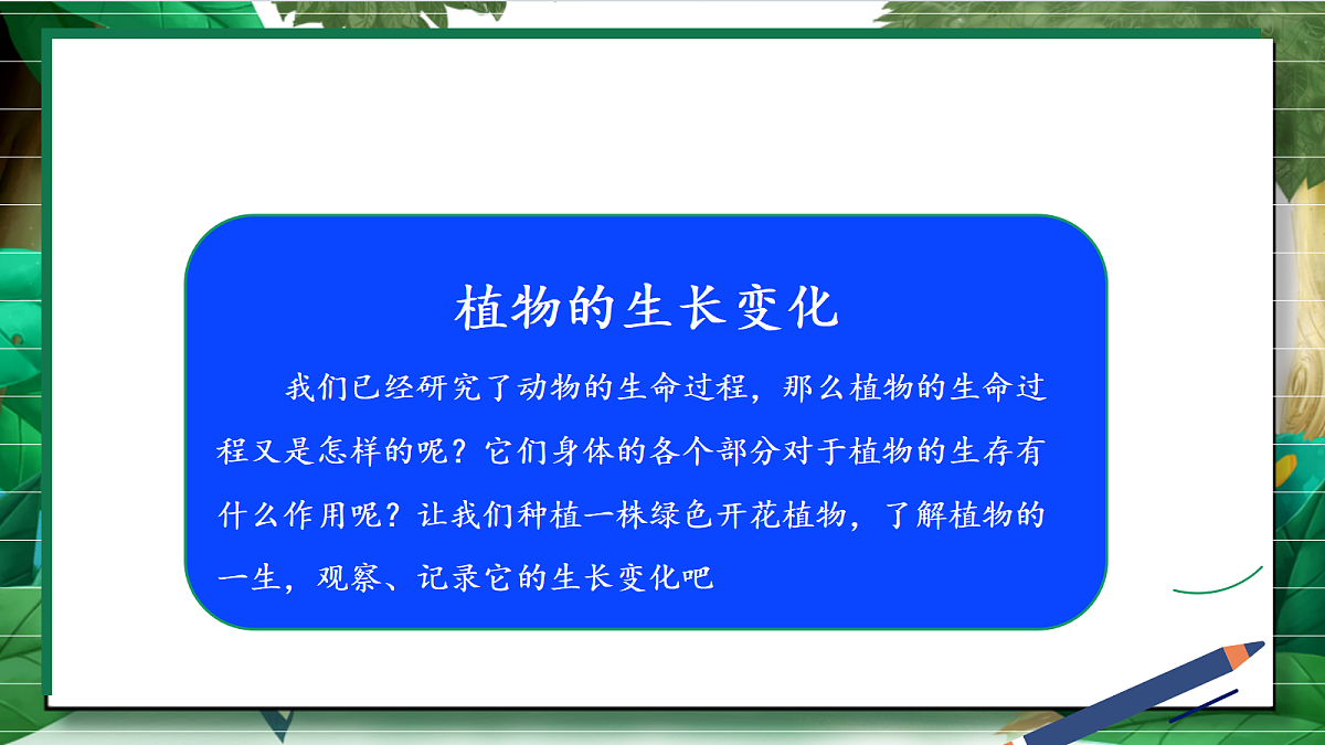 1.1《种子里孕育着新生命》教学课件第4页