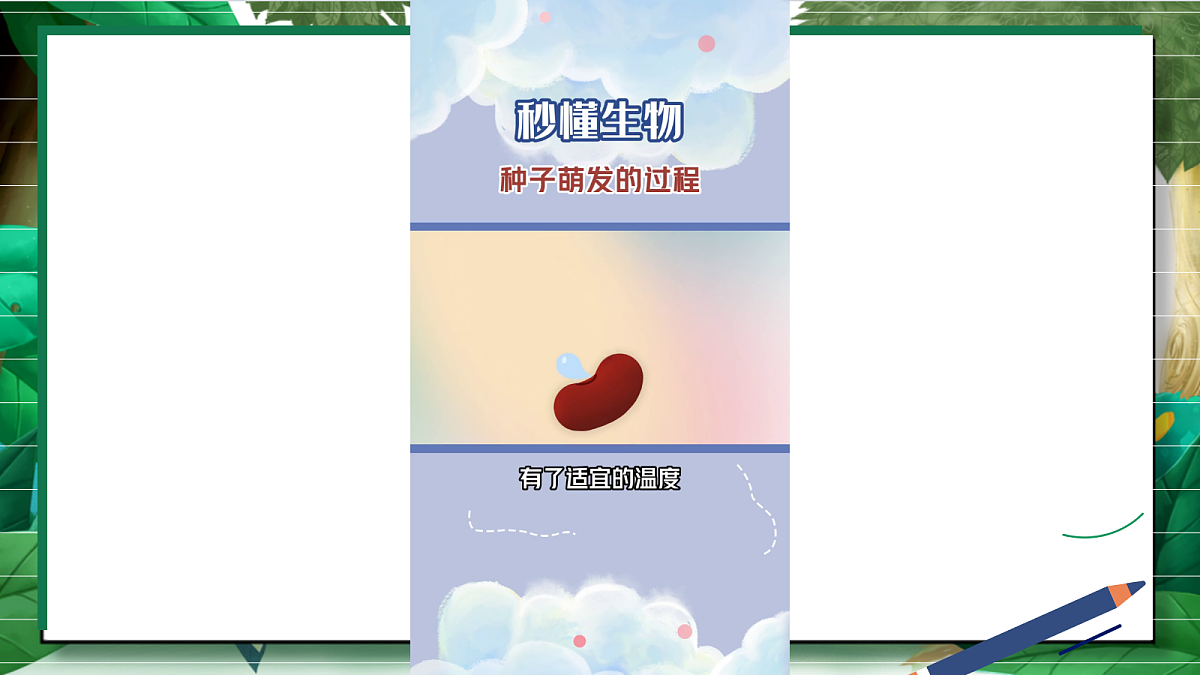 1.1《种子里孕育着新生命》教学课件第5页