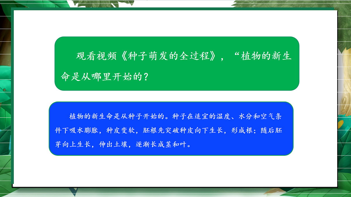 1.1《种子里孕育着新生命》教学课件第6页