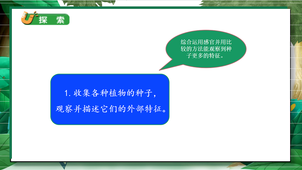 1.1《种子里孕育着新生命》教学课件第8页