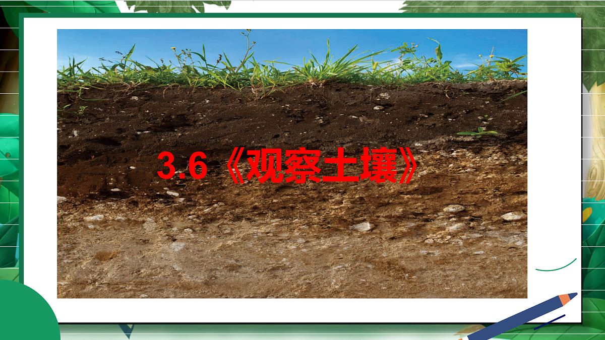 3.6《观察土壤》教学课件第2页