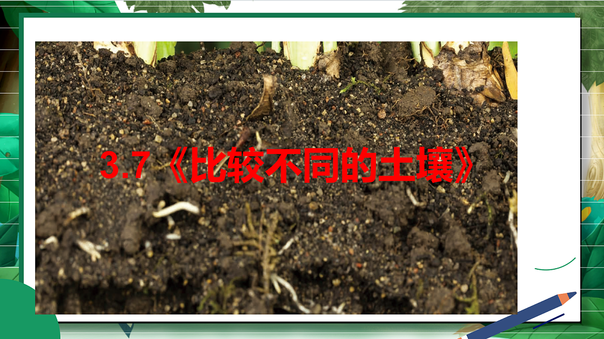3.7《比较不同的土壤》教学课件第2页