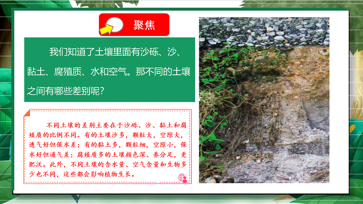 3.7《比较不同的土壤》教学课件第5页