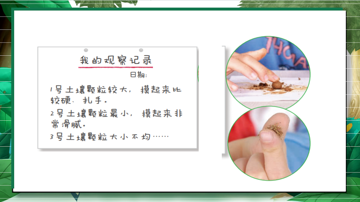 3.7《比较不同的土壤》教学课件第7页
