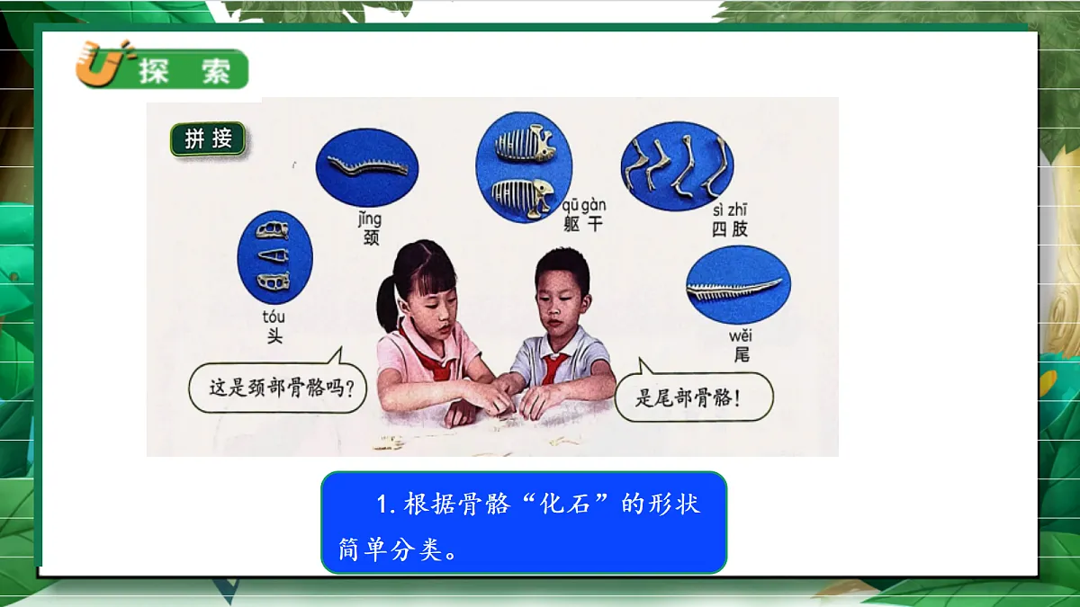 1.4《拼接恐龙化石》教学课件第6页