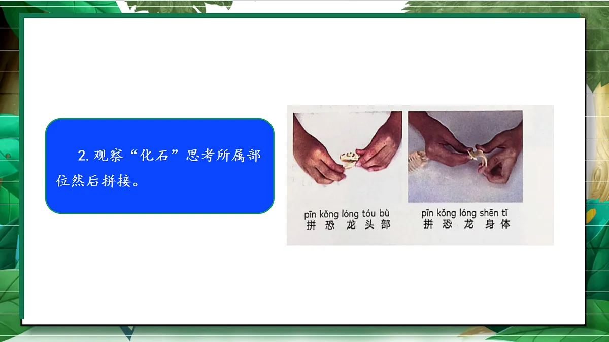 1.4《拼接恐龙化石》教学课件第8页