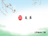 20 灰雀  课件  统编版（2024）语文三年级下册