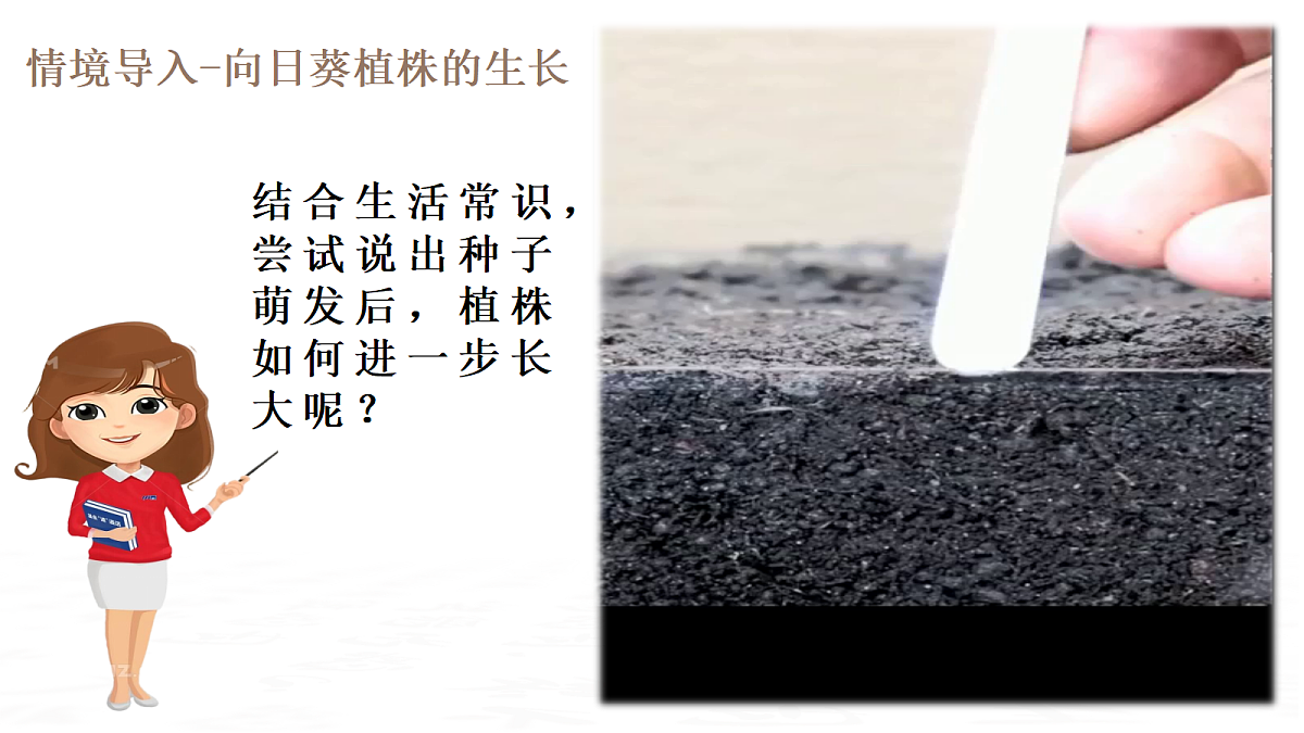 18019685第4页
