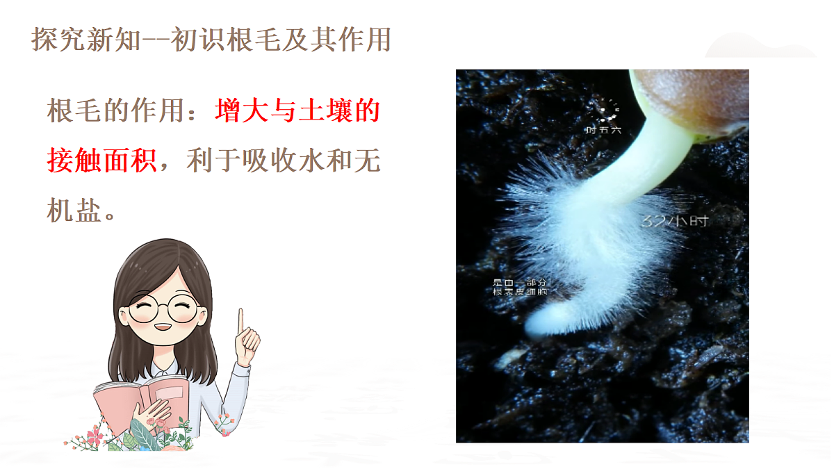 18019685第7页
