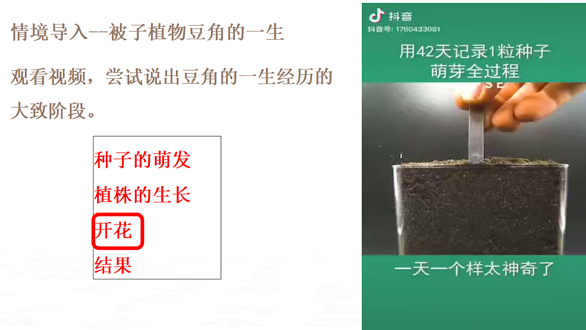 18019693第2页