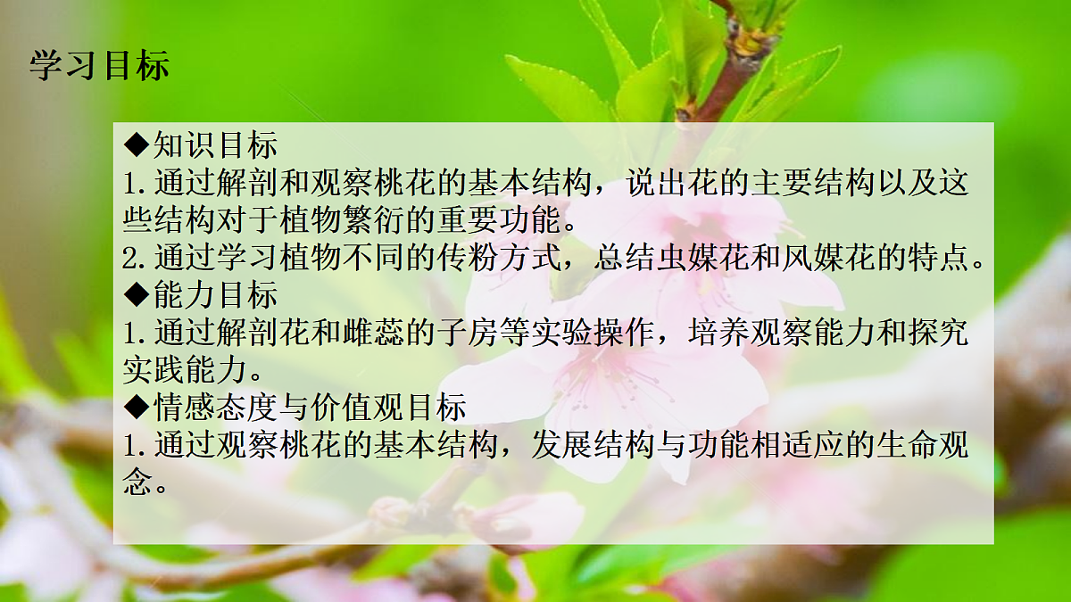 18019693第3页