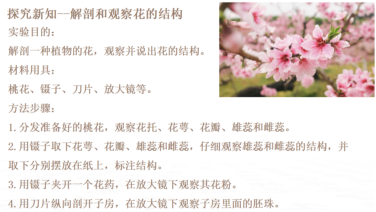 18019693第6页