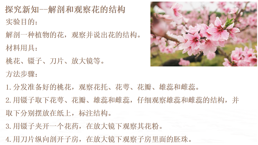 18019693第6页
