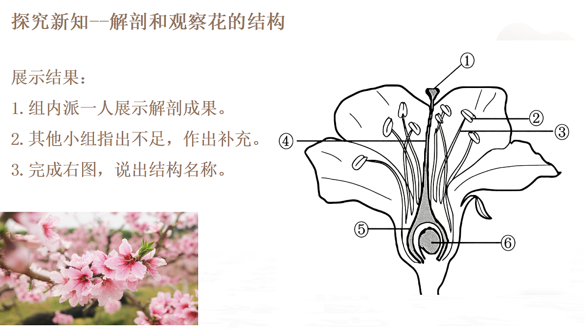 18019693第7页