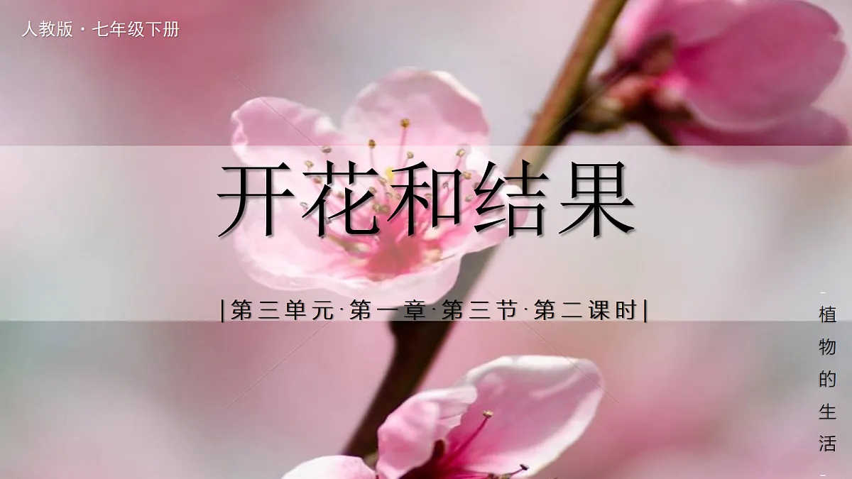 18019697第1页
