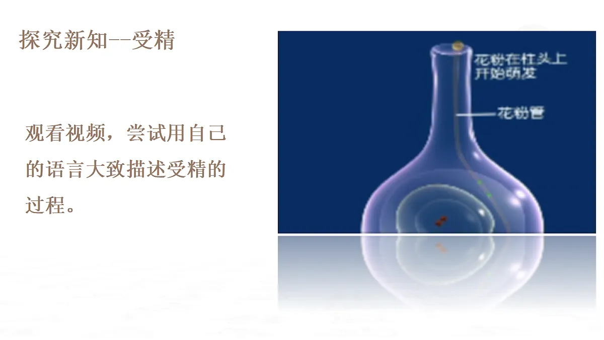 18019697第5页