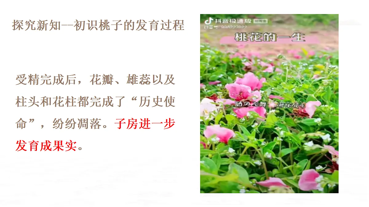 18019697第8页