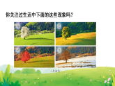 年、月、日的秘密  课件  2025-2026学年人教版数学三年级下册