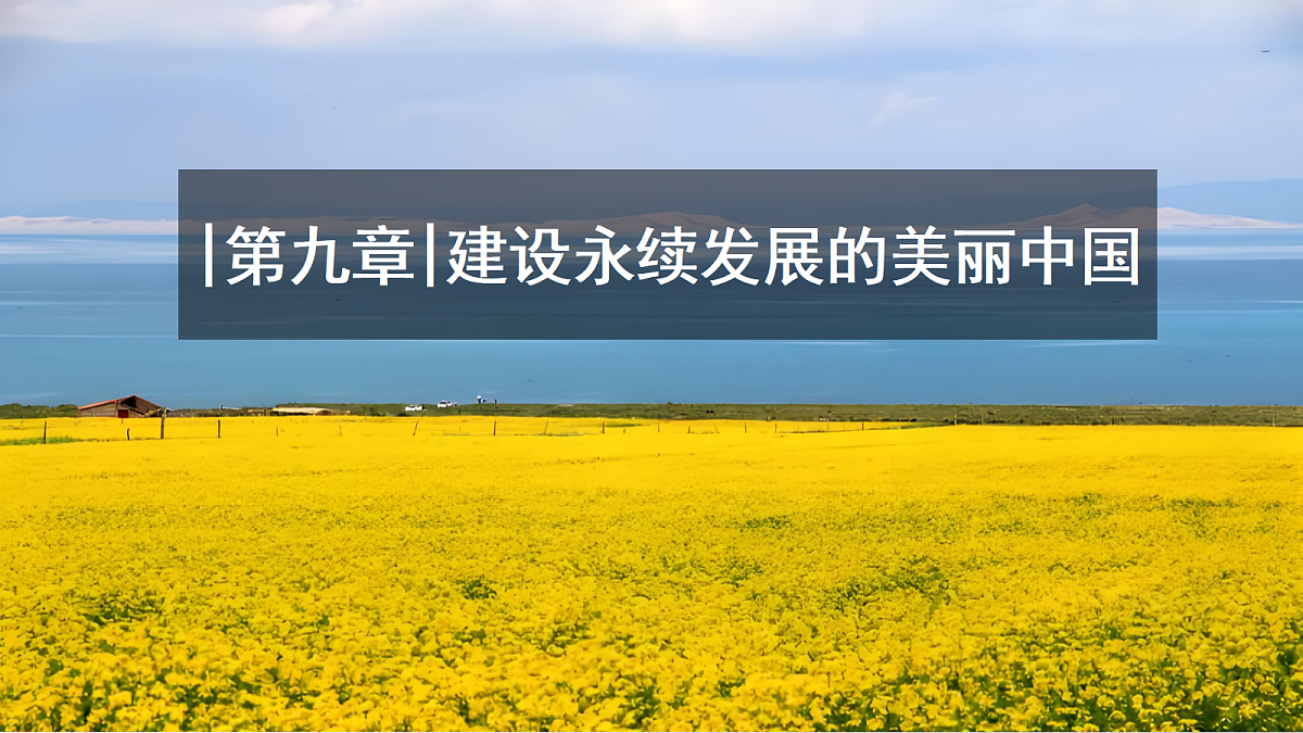 18020015第1页